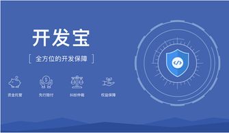 碼市開發(fā)寶 構建云端軟件開發(fā)生態(tài)閉環(huán)，引領軟件開發(fā)新范式